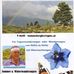 Thomas Wohlfahrt - Facebook