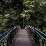 Thomas Wohlfahrt - @thomas.wohlfahrt.77 - Instagram