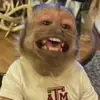 mrthomas22_wojtowicz - @mrthomas22_wojtowicz - TikTok