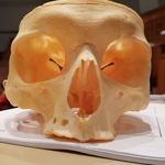 Thomas Wojtowicz - @wojtowicz788 - Instagram