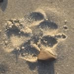 Thomas Wunderlich - @tomwundi - Instagram