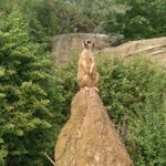 Thomas Wunderlich - @picasso1710 - Instagram