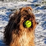 Thomas Wunderlich - @wunderlich.t - Instagram