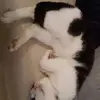 thomaswyler363 - @thomaswyler363 - TikTok