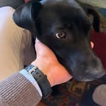 Thomas Wyman - @thomwymanr - Instagram
