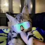 Thomas Wyman - @thomaswyman6 - Instagram