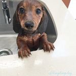 thomas yanthan - @thomas_yanthan - Instagram
