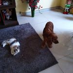 Vivianne Thomas - @vivianne_thomas_yuhasz - Instagram