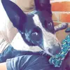 Thomas - @thomasyule - TikTok