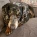 Tom Yunker - Facebook