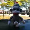 thomas zarcone - @thomas.zarcone - TikTok