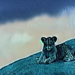 @thomaszarcone44 - Instagram