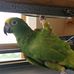 Zeitler Thomas - Facebook