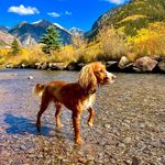 Jeff Thompson - @thompson_jeff - Instagram
