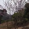 Thong Luong - @thong.luong87 - TikTok