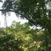 Thong Luong - Facebook