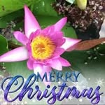 Thong Luong Minh - @minhthong010178 - Instagram