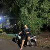 Thongvo - @thongvo52 - TikTok