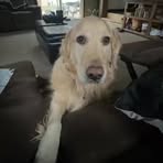 Thor Anderson - Facebook