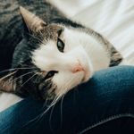 Thor Anderson - @thorsgreatadventures - Instagram