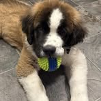 Thor Anderson - Facebook