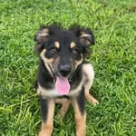 Thor Boo Butler - @thorbutler_ - Instagram