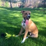 Thor "Big Meech" Eiben - @longtonguethor - Instagram