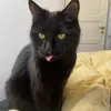 Sofie Thorlund - @sofie.thorlund6 - TikTok