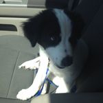 Parker Thor - @parkerthorroyston - Instagram