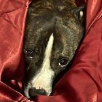 @thor_lucas_parker - Instagram