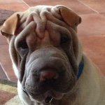 Thor Parker - @thor_parker_34 - Instagram