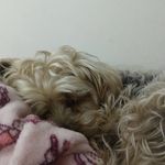 thor - @thor_peterson - Instagram