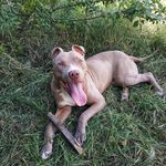 THOR THORSON - @thor_son41 - Instagram