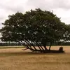 Thorvang092 - @thorvang092 - TikTok