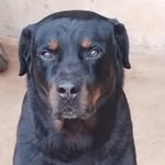 @thor_wilson_09 - Instagram