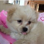 Thor wilson - @thor_wilson - Instagram