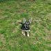 Thor Wilson - Facebook