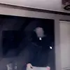 thor.wilson - @thor.wilson - TikTok