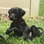 @thorwilson_ - Instagram