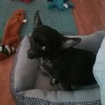 Thor - @thor_wright - Instagram