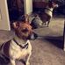 Thor Wright - Facebook