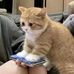 Thu Dinh - Facebook