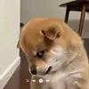 Thư Láo - @thulao08 - TikTok