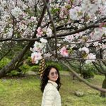 Lai Thuan - @thuanlai - Instagram