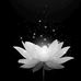 Thuan Lai - Facebook