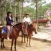 Thuan Phan - Facebook