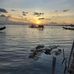 Thuan Phan - Facebook