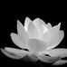 Thuan Thai - Facebook