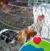 Thuan Van - Facebook