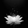 Thuc Phan - @thuc.phan14 - TikTok